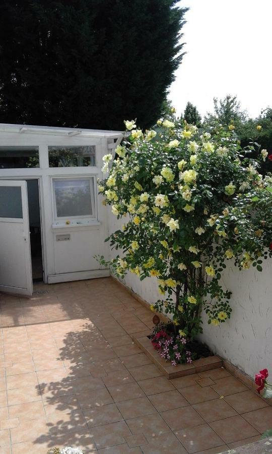 Ferienwohnung Jette Oestrich-Winkel Exterior foto